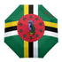 Dominica Umbrella - CaribeHeart Dominica